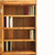 红木家具两门红木书柜实木储物柜陈设柜酒柜现代简约书柜刺猬紫檀木(其他 一个书柜)第4张高清大图