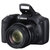 佳能（Canon） 数码相机 PowerShot SX520 HS 24mm广角 42倍光学变焦 sx520(佳能SX5第2张高清大图