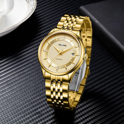 帝浪(DILANG)男士手表进口自动机械机芯钢带皮带经典时尚绅士腕表K9(全金色)