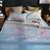 南极人(NanJiren) 大版卡通图案凉席夏季冰丝席子三件套可折叠1.8米1.5m床空调软席夏凉席套件(一枝独秀 1.5米床)第3张高清大图