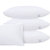 黛格轻奢床上用品 五星级酒店全棉枕头 单双人枕芯(3 默认)第3张高清大图