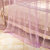 黛丝丹奴蚊帐三开门加粗公主风落地支架1.2/1.5/1.8m2米床双人家用(浅紫色 1.2x2m（25mm支架）)第5张高清大图