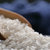 稻禾源 绿色稻花香大米粳米5kg/10斤 东北五常厂家直供（新疆西藏青海不发货）第5张高清大图