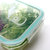 夸克(KUAKE) 耐热玻璃饭盒 保鲜盒 微波炉饭盒 便当盒 保鲜玻璃碗(绿色盖子 方形320ml)第2张高清大图