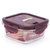 泰福高新款耐热玻璃 保鲜饭盒玻璃饭盒保鲜盒(510ml)第4张高清大图