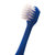 惠百施（EBISU）儿童训练牙刷日本进口宽头细软毛 0.5-3岁/3-6岁/6岁以上 婴幼儿乳牙刷(3-6岁训练儿童牙刷1支装)第4张高清大图