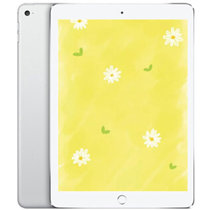 新品 苹果（Apple）iPad 平板电脑 9.7英寸 WiFi版(银色)