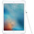 Apple iPad Pro 9.7英寸MLMW2CH/A（128G/银白色/WLAN版）第4张高清大图