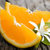 阿丽米罕 脐橙 5斤 新鲜水果酸甜多汁徒手可剥橙子第5张高清大图