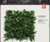 俊采云JYCV15人造仿真塑料草坪室外植物墙绿植墙户外工程用绿防晒防火阻燃50厘米*50厘米（单位：个）(绿色 JYCV15)第2张高清大图