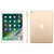 Apple iPad 平板电脑 9.7英寸（行货保证 售后无忧）(金色 wifi版)第2张高清大图