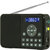 熊猫(PANDA) DS-172 数码音箱 精致小巧 功能强大 FM收音 黑色第2张高清大图