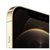 Apple iPhone 12 Pro Max (A2412)  支持移动联通电信5G 双卡双待手机(金色)第5张高清大图