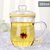 物生物蘑菇杯茶杯韩版创意潮流透明玻璃杯带把便携花茶泡茶办公杯380ML /420ML/500ML(橙色)第4张高清大图