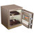 艾谱(AIPU) FDX-A/D-40ZWIV 指纹 单门 保险箱 便捷安全 古铜色第5张高清大图
