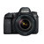 佳能（Canon）EOS 6D Mark II / 6D2（EF 24-105mm f/4L IS II USM 镜头）第3张高清大图