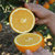 赣南脐橙赣州特产脐橙5斤约8-10个果新鲜水果无渣橙子橘子（新疆，西藏、内蒙、甘肃、宁夏、青海不发货）(脐橙5斤装果径80-90mm)第5张高清大图