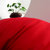 雅乐巢(GAGAKUNEST)新款全棉13372超柔软糖果羽丝绒枕头枕芯 48x74cm酒店舒服枕头一只装(大红)第3张高清大图