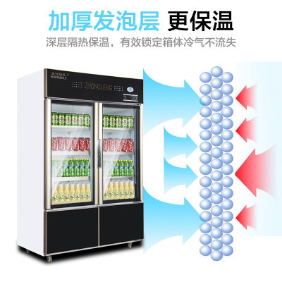 五洲伯乐LCD-868双门上冷藏下冷冻展示冰柜水果保鲜柜啤酒柜