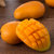 海南小台农芒果3-9斤小台芒新鲜应当季热带水果特产整箱包邮(5斤装 默认值)第9张高清大图