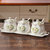 创简坊（CJIANFF） 欧式陶瓷调味罐创意厨房调味瓶调料盒子三件套收纳套装SN8384(调味罐套装-蒲公英(紫))第5张高清大图