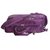 迪士尼（Disney）DNC1106159 12.1英寸手提电脑包（紫色）第2张高清大图