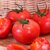 【自然熟】普罗旺斯西红柿 小时候的味道 5斤装 产地直发(普罗旺斯西红柿 5斤)第3张高清大图