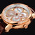飞亚达(FIYTA)手表幸福四叶草高圆圆参与设计自动机械女表(棕色 LA8562.PWRD)第3张高清大图