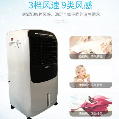 先锋（Singfun）LRG04-11FR 冷暖两用空调扇 大冰晶加厚冰帘 定时 DG1102(冷暖空调扇)