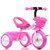 beruty儿童三轮车 2-3岁以上小孩子自行车 男女宝宝脚踏儿童车(C款粉色编织框)第3张高清大图