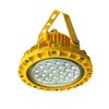 旭升（CXS）CGBF0101L IP66 AC220V 5000K LED防爆泛光灯(黄色)