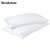 美国brookstone 枕头两件套 羽丝绒枕可机洗枕头防螨双人枕头第4张高清大图