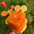 血橙香橙四川爱媛血橙橙子5斤装香甜橙子新鲜水果产地直发(自定义 5斤装)第3张高清大图