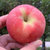 陕西早熟红富士苹果(3斤装)第4张高清大图