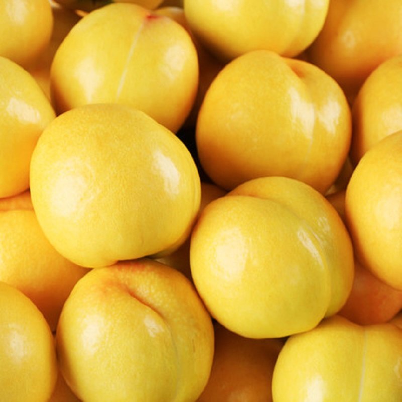 蒙阴黄金油桃约2325公斤2325公斤水果