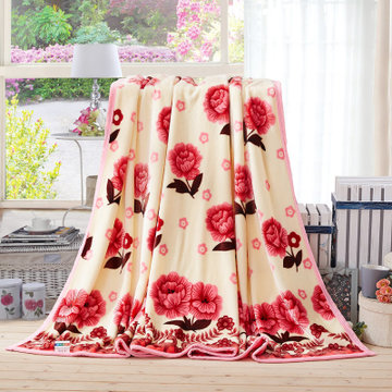 宏怡(Hongyi)  加厚毛毯 包边毯子 家用车用空调毯 四季毯 盖毯 床单  法 兰绒毯(众星揽月)
