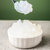 百钻椰果 家用做珍珠奶茶布丁果冻水果捞甜品食用椰肉果粒商用1kg第5张高清大图