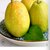 新疆库尔勒香梨5斤梨子新鲜当季水果批发包邮(库尔勒香梨25-30个5斤)第3张高清大图
