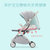 天瑞婴儿推车超轻便携可坐可躺折叠迷你儿童车宝宝bb手推车婴儿车(粉色)第2张高清大图