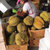 泰国进口托曼尼榴莲 多规格 生鲜新鲜水果(1枚装【3-4斤】)第3张高清大图