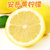 四川安岳柠檬新鲜水果包邮青柠皮薄一级精选汁多大香水黄柠檬(180-220g 5斤)第4张高清大图