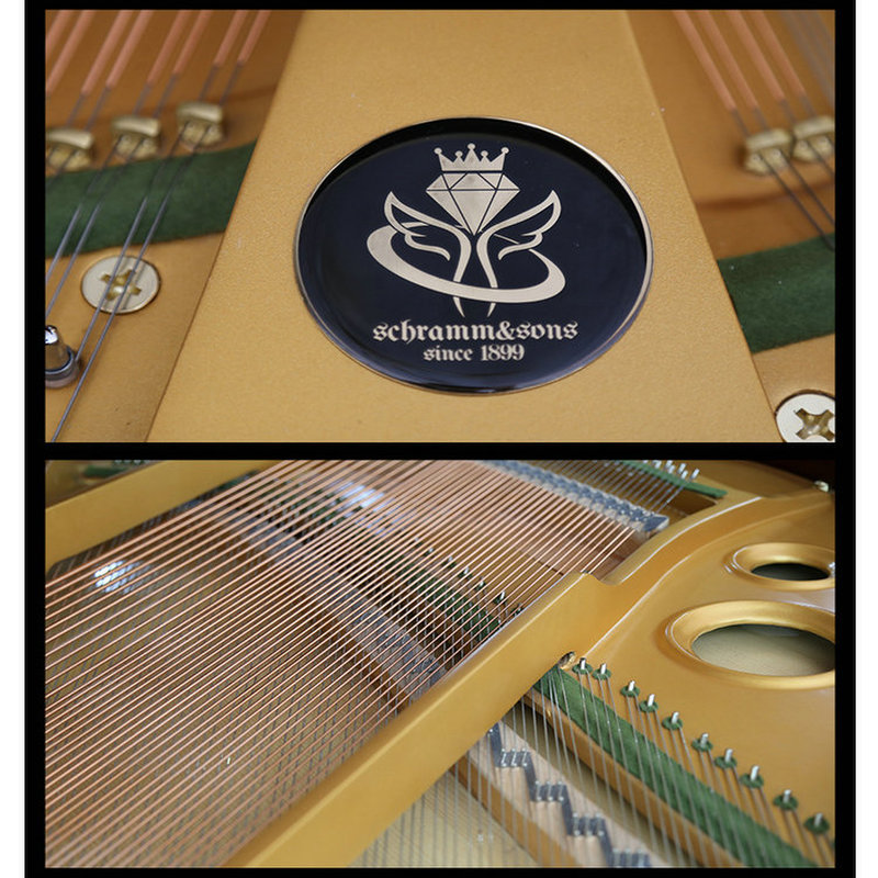 全新澳大利亚进口德国schramm&sons舒楠sa-125bk 高端成人初学者