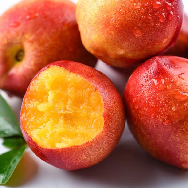 山东当季现摘5斤装红油桃香甜多汁