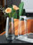 苏渠北欧ins风简约玻璃花瓶水培鲜花插花小花瓶客厅水养创意摆件第4张高清大图