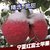 宁夏丑苹果水果冰糖心10斤红富士新鲜水果整箱包邮脆甜糖心小苹果(80mm（含）-85mm(不含) 5斤)第2张高清大图