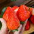 【顺丰冷运】现摘丹东99红颜奶油草莓 久久红颜草莓 新鲜水果礼盒装 空运直达 年货礼物(2斤大果装)(2斤大果装)第3张高清大图