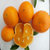 精品纽荷尔脐橙 非赣南脐橙 带叶发货(2斤)第2张高清大图