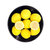 四川特产精选黄柠檬750g包邮 产地直发 新鲜多汁第5张高清大图