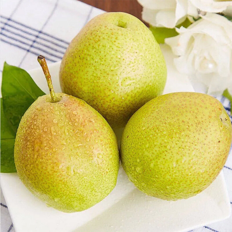 红香酥梨新鲜梨子脆甜多汁香梨整箱当季水果带箱3斤装