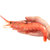 umami阿根廷红虾250g(250g 整虾)第2张高清大图